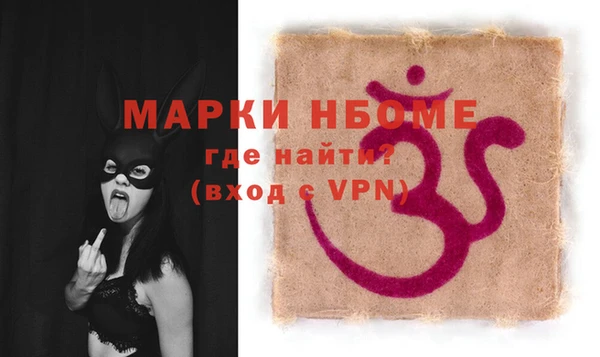 индика Абаза