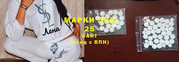 индика Абаза