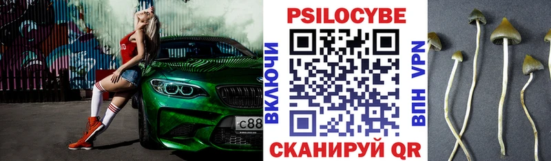 где купить наркотик  кракен ТОР  Галлюциногенные грибы прущие грибы  Котлас 